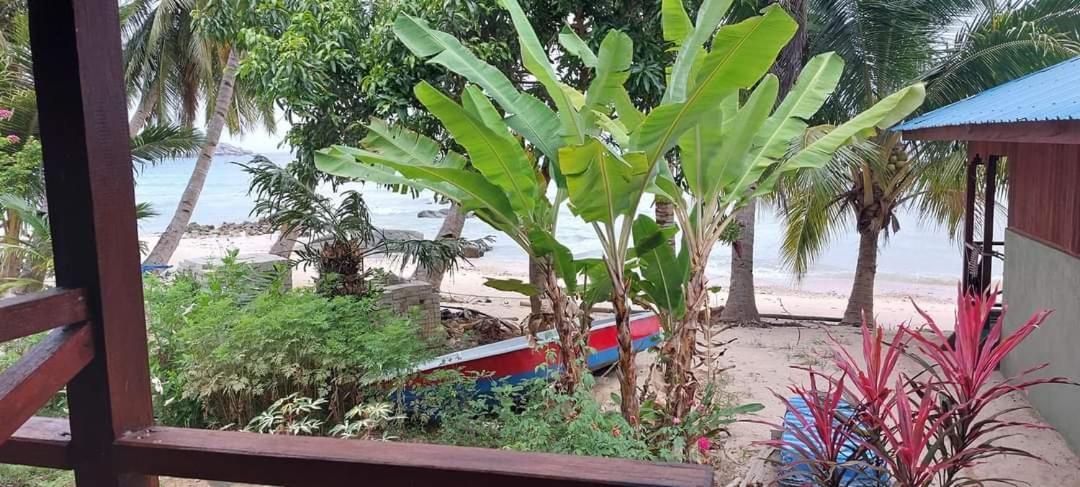 Ella'S Place Salang Tioman Kampong Ayer Batang Værelse billede
